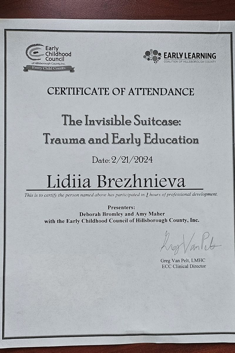 Early Childhood Council Certificate